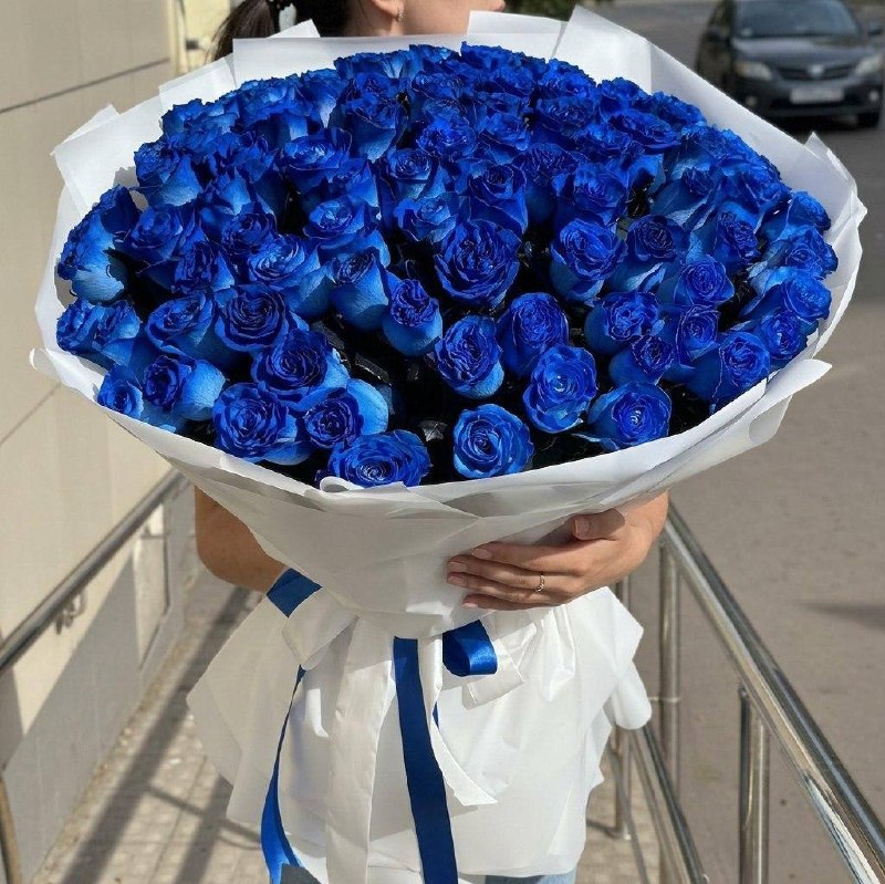 Лазурный сон